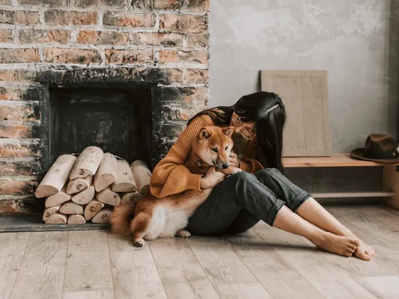 A pet parent relaxing at home on the couch with their dog